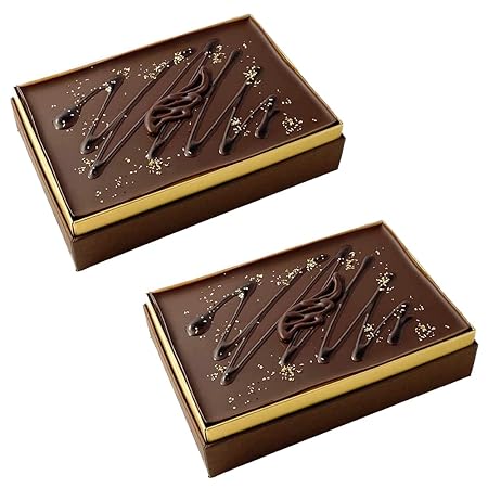 【ラム酒香る大人だけの贅沢】Aquila シルキーティラミス プレミアム|ティラミス ケーキ スイーツ ギフト プレゼント 高級 無添加 冷凍 お取り寄せ|140×90×40mm 2〜3人前 ×2個|誕生日 バースデー チーズ チョコレート ラム酒 アルコール