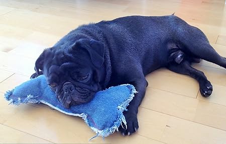 犬 デニム 骨型 クッション あごのせ オシャレ かわいい M