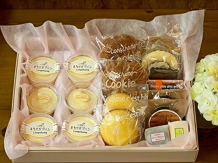 プリン シュークリーム ロールケーキ チョコ チーズケーキ 半生 ケーキ いろいろセットト (ギフト 大サイズ) お菓子 スイーツ ギフト 人気 お中元 ランキング のし付き 夏 プレゼント 夏ギフト 洋菓子 食べ物 グルメ 誕生日 お見舞 お礼 スイーツ 贈り物 おしゃれ