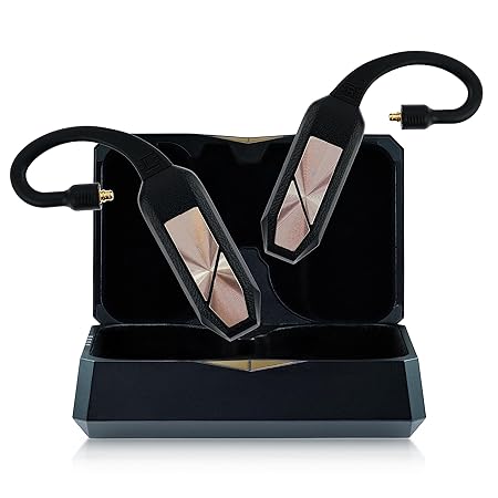 iFi audio GO pod bluetooth IEM完全ワイヤレスレシーバー/LDAC,aptX Adaptive対応【国内正規品】