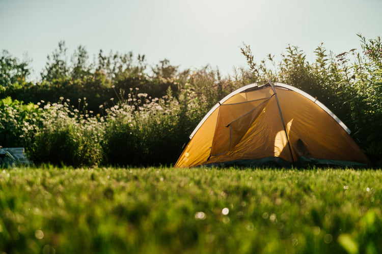 Sports and Outdoors: Includes sports equipment, outdoor gear, and activewear.