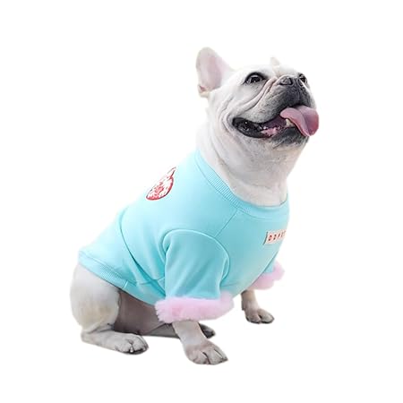 犬服 秋冬 ペット服 パーカー 小型犬 おしゃれ かわいい 子犬 かわいい コート 猫 暖かい 防寒 小型犬 中型犬 チワワ ドッグウェア (M, ブルー)