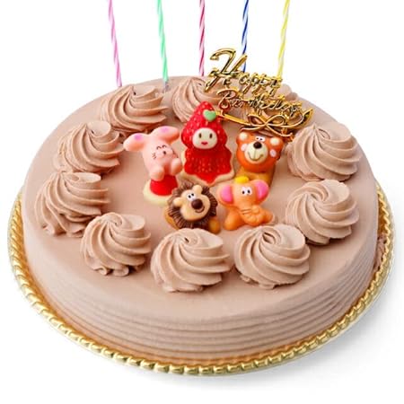 誕生日ケーキ バースデーケーキ 生チョコクリーム デコレーションケーキ 6号 [凍] チョコ 誕生日 ケーキ チョコレート飾り スイーツ