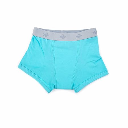 [Conni] キッズ・スポーツ (120,アクア) ボクサー おねしょパンツ 子供用下着 高吸水 防水層付 通気性 トイレトレ対応（男女兼用） Kids Sports 2-4 Aqua