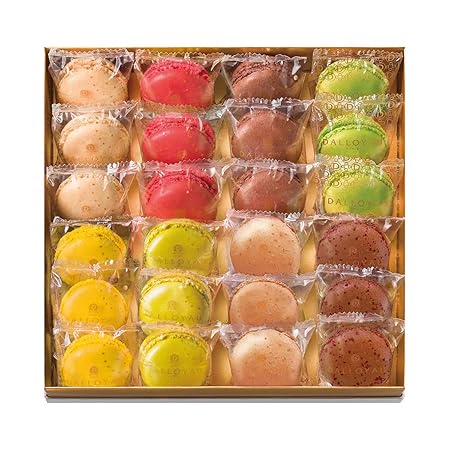 DALLOYAU ダロワイヨ 季節のマカロン入り詰め合わせ（24個入）