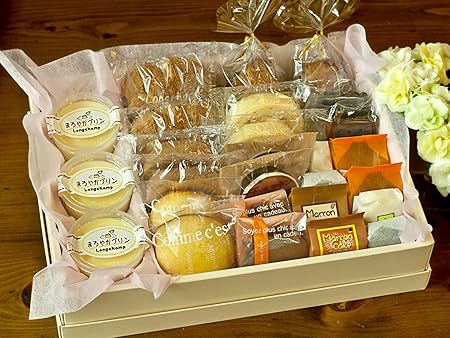 プリン シュークリーム ロールケーキ チョコ チーズケーキ 半生 ケーキ いろいろセット (ギフト 特大サイズ) お菓子 スイーツ ギフト 人気 お中元 ランキング のし付き 夏 プレゼント 夏ギフト 洋菓子 食べ物 グルメ 誕生日 お見舞 お礼 スイーツ 贈り物 おしゃれ